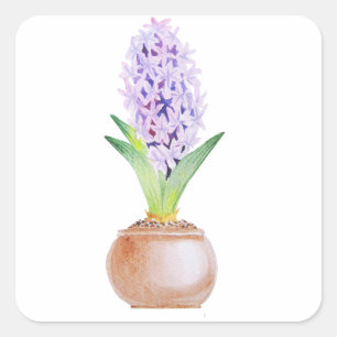 Happy Norooz Hyacinth Quadratischer Aufkleber