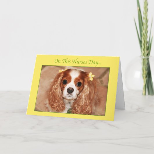Happy Nurses Day Cavalier King Charles Spaniel Karte (Vorderseite)
