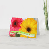 Happy Nurses Day Gerber Daises Karte (Vorderseite)