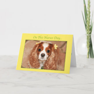 Happy Nurses Day mit Sweet Cavalier King Charles Karte