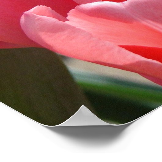 Happy Nurses Week Kunstdrucke Plakate Dedicated (Ecke)