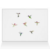 Happy Oaster (Innenansicht Horizontal (Oben))