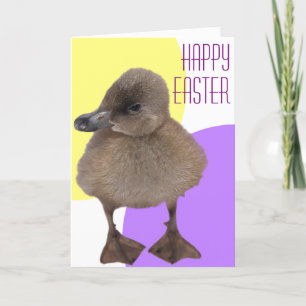 Happy Oaster Adorable Gray Duckling Foto Feiertagskarte