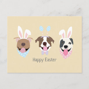 Happy Oaster American Pit Bull Terrier Dogs Postkarte