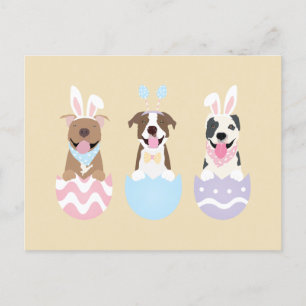 Happy Oaster American Pit Bull Terrier Dogs Postkarte
