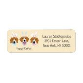 Happy Oaster Beagle Hunde (Vorne)