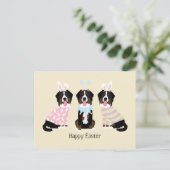 Happy Oaster Bernese Mountain Hunde Postkarte (Stehend Vorderseite)