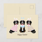 Happy Oaster Bernese Mountain Hunde Postkarte (Vorne/Hinten)