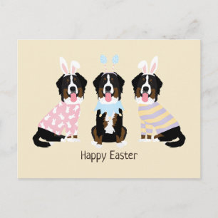 Happy Oaster Bernese Mountain Hunde Postkarte