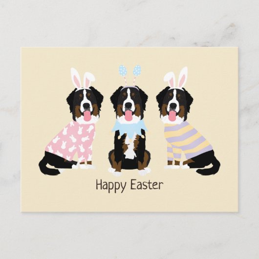 Happy Oaster Bernese Mountain Hunde Postkarte (Vorderseite)