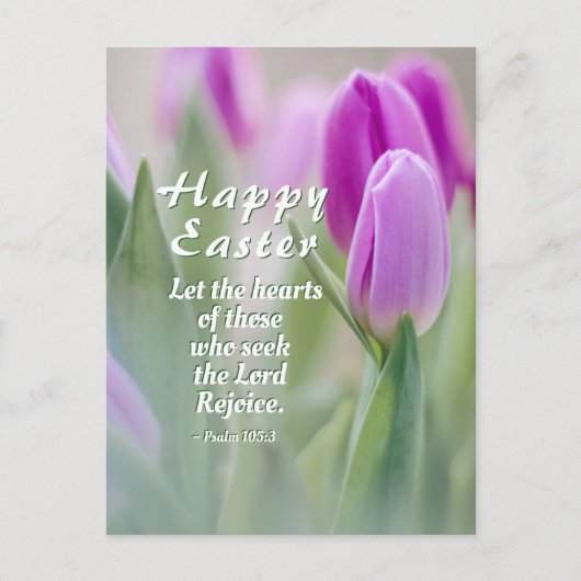 Happy Oaster Bible Verse Pink Tulips Postkarte (Vorderseite)