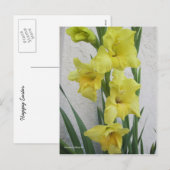 Happy Oaster Blume Postkarte (Vorne/Hinten)