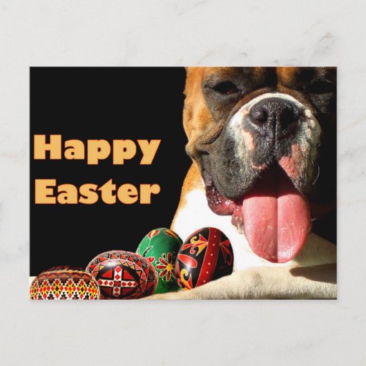 Happy Oaster Boxer Dog Postkarte (Vorderseite)