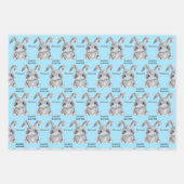 Happy Oaster Boys Bunny Rabbit blau und grün Geschenkpapier Set (Vorderseite)