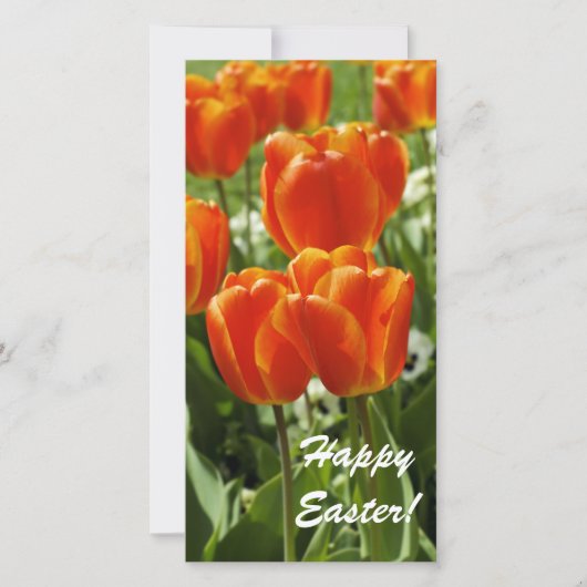 Happy Oaster Card Feiertagskarte (Vorderseite)