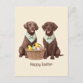 Happy Oaster Chocolate Labrador Retriever Hunde Postkarte (Vorderseite)