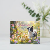 Happy Oaster Collie und Chicks Feiertagskarte (Stehend Vorderseite)