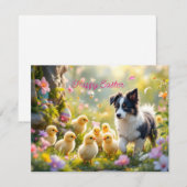 Happy Oaster Collie und Chicks Feiertagskarte (Vorne/Hinten)