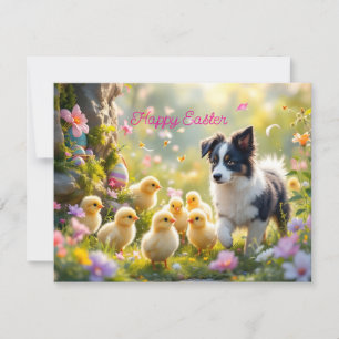 Happy Oaster Collie und Chicks Feiertagskarte
