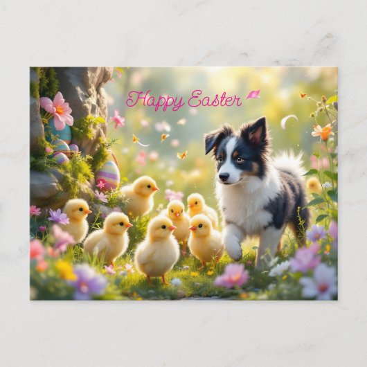Happy Oaster Collie und Chicks Postkarte (Vorderseite)