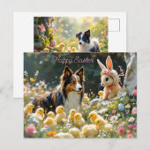 Happy Oaster Collie und Chicks Postkarte (Vorne/Hinten)