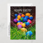 Happy Oaster Colorful Eggs Foto Postkarte (Vorne/Hinten)