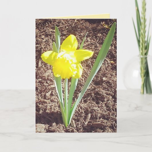 Happy Oaster Daffodil Card Feiertagskarte (Vorderseite)
