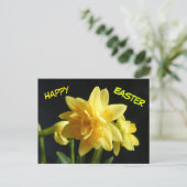 Happy Oaster Doppel blühende Daffodils Postkarte (Stehend Vorderseite)