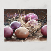 Happy Oaster Egg Hunt Postkarte (Vorderseite)