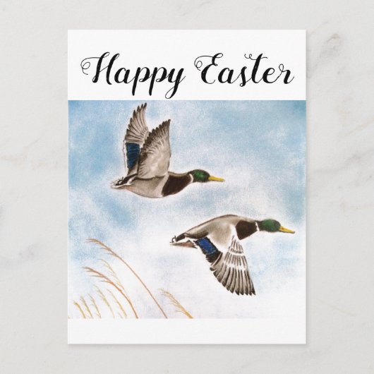 Happy Oaster Enck Hunters Postkarte (Vorderseite)