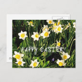 Happy Oaster Feiertagspostkarte (Vorne/Hinten)