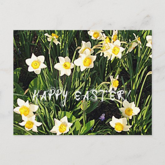 Happy Oaster Feiertagspostkarte (Vorderseite)