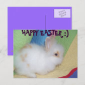 Happy Oaster Feiertagspostkarte (Vorne/Hinten)