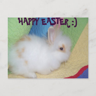 Happy Oaster Feiertagspostkarte