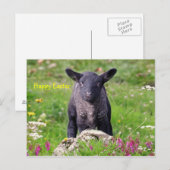Happy Oaster Feiertagspostkarte (Vorne/Hinten)