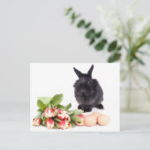Happy Oaster Feiertagspostkarte (Stehend Vorderseite)