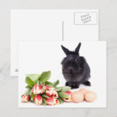 Happy Oaster Feiertagspostkarte (Vorne/Hinten)