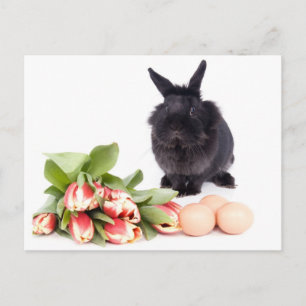 Happy Oaster Feiertagspostkarte