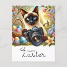 Happy Oaster for Cat Lovers