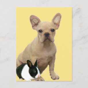 Happy Oaster French Bulldog Postkarte