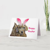 Happy Oaster Goldendoodle Furry Pink Bunny Oars Karte (Vorderseite)