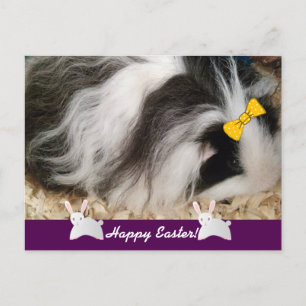 Happy Oaster Guinea Pig Feiertagspostkarte