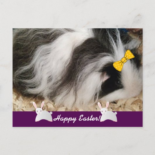 Happy Oaster Guinea Pig Feiertagspostkarte (Vorderseite)