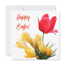Happy Oaster hübsche gelbe Crocus Red Tulpe Liebe
