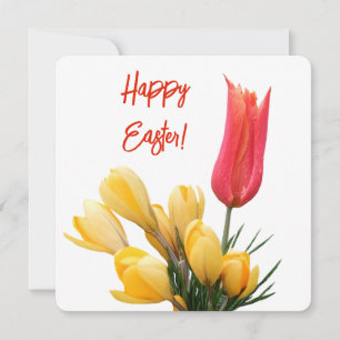 Happy Oaster hübscher gelber Crocus, roter Tulpe Karte