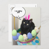Happy Oaster Kitty Feiertagspostkarte (Vorne/Hinten)