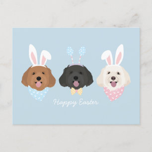 Happy Oaster Maltipoo Hunde Postkarte