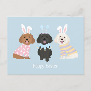 Happy Oaster Maltipoo Hunde Postkarte