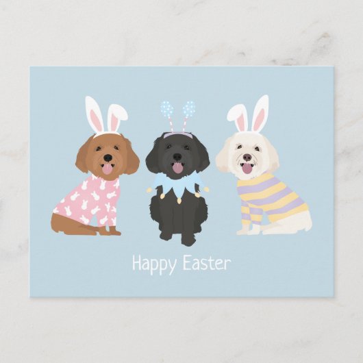 Happy Oaster Maltipoo Hunde Postkarte (Vorderseite)