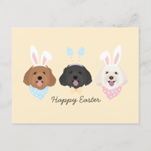 Happy Oaster Maltipoo Hunde Postkarte